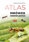 Atlas Mrówek Hodowlanych 150 Gatunków | Angelika Dawidowicz