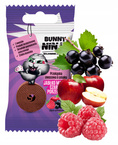 BUNNY NINJA Owocowa Przekąska JABŁKO MALINA PORZECZKA 15g