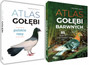 Zestaw Książek O GOŁĘBIACH Atlas Gołębi Polskie Rasy i Gołębie Barwne SBM