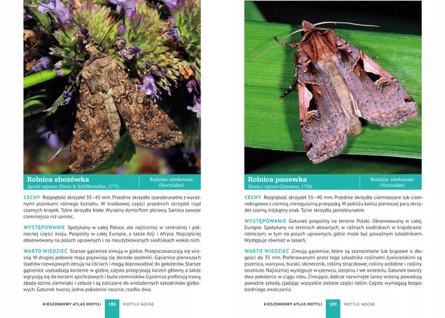 Kieszonkowy Atlas MOTYLI 180 Gatunków Jacek Twardowski SBM
