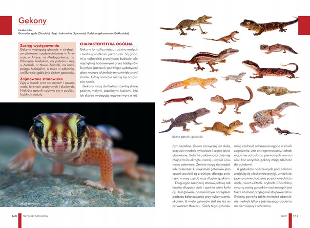 Atlas ZWIERZĄT DOMOWYCH Zwyczaje Wygląd Potrzeby Wymagania SBM