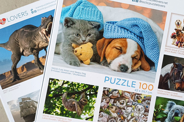 Puzzle 100 el. Tactic Słodki Kiciuś i Śpiący Piesek