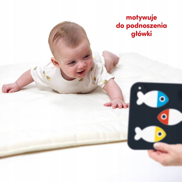 Duże Karty Kontrastowe CzuCzu