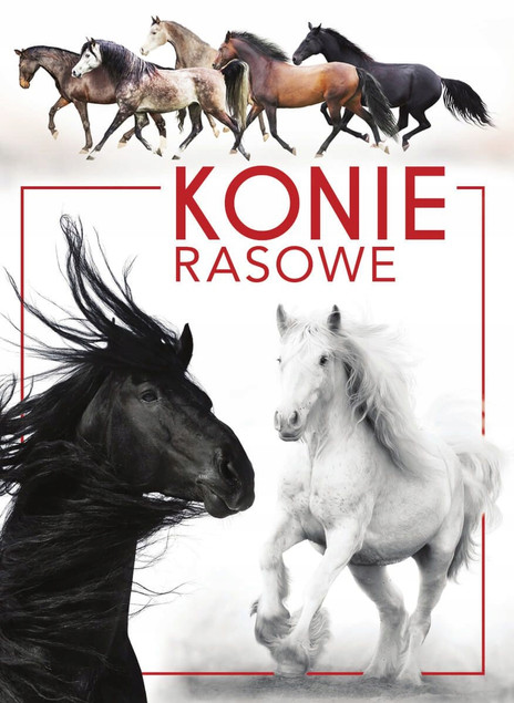 KONIE RASOWE Album Opisy Fotografie Patrycja Zarawska SBM