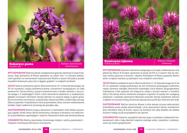 Kieszonkowy Atlas ZIÓŁ Aleksandra Halarewicz SBM