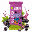 Batonik Czarna Porzeczka 20 g – Helpa