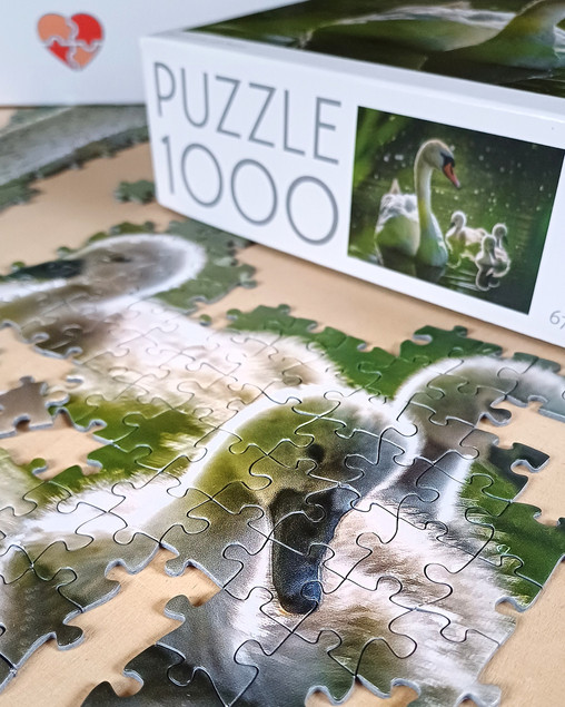 Puzzle 1000 TACTIC Lovers: Łabędź na Jeziorze z Dziećmi