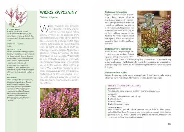 ZIOŁA POLSKIE Wykorzystanie Lecznicze Kosmetyczne Kulinarne Domowe SBM