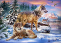 Puzzle 500 Układanka Zwierzęta WILKI Przyroda Zima Śnieg Las 9+ Castor
