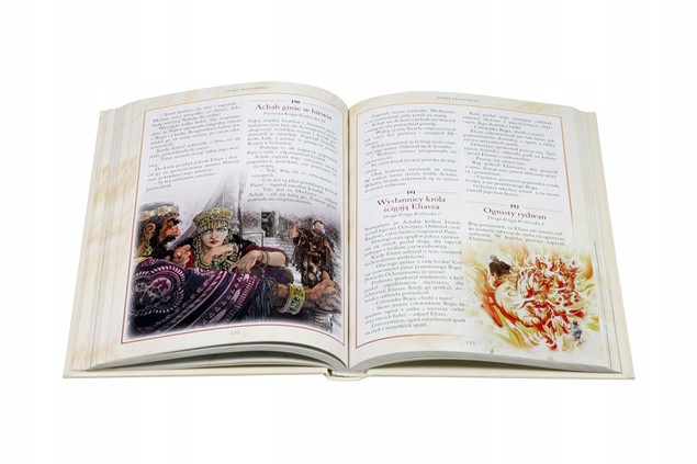 Biblia na każdy dzień 365 historii ze Starego i Nowego Testamentu Praca zbiorowa
