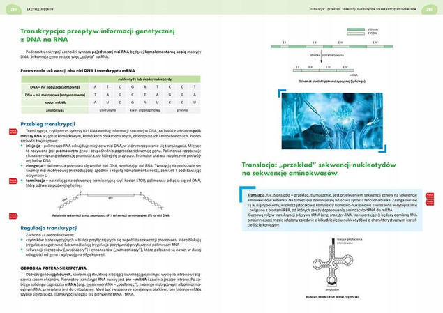 Nowa Matura 2024 Biologia Rozszerzona - Kornelia Wójcik