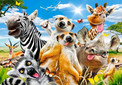 Puzzle 200 Układanka Safari Afryka ZWIERZĘTA Zebra Selfie 7+ Castorland