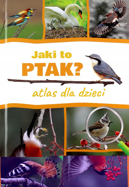 Jaki to ptak? Atlas dla Dzieci Dominik Marchowski | Książka Przyroda