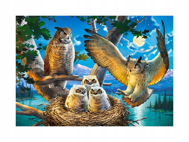 Puzzle 500 Układanka Ptaki SOWY Sowa Noc Wieczór Gniazdo 9+ Castorland