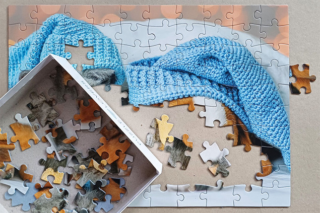 Puzzle 100 el. Tactic Słodki Kiciuś i Śpiący Piesek