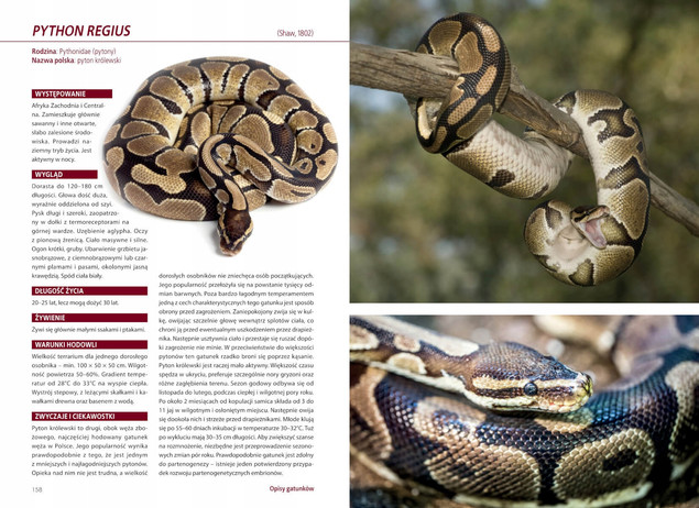 Atlas WĘŻY HODOWLANYCH 100 Gatunków Angelika Dawidowicz SBM