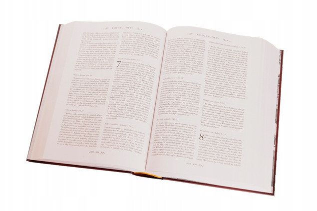 Pismo Święte Starego i Nowego Testamentu. Biblia domowa. bp Kazimierz Romaniuk