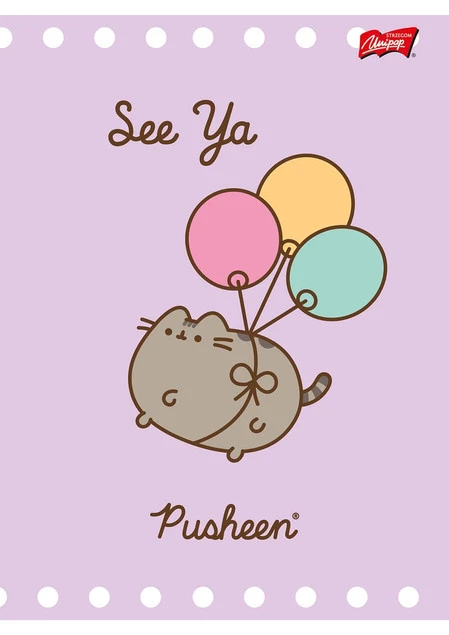 Zeszyt do nauki pisania w 3 linie A5 Pusheen