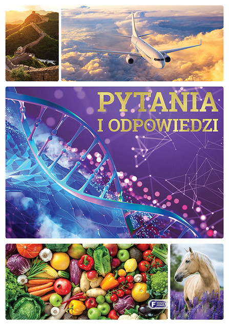 Pytania i odpowiedzi Praca zbiorowa