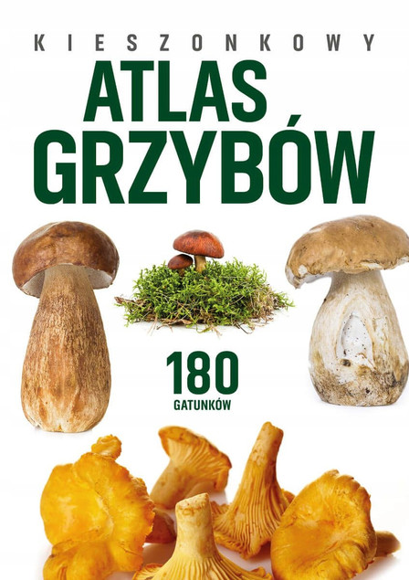 Kieszonkowy atlas grzybów – Patrycja Zarawska