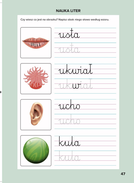 Elementarz Nauka Pisania Ćwiczenia Grafomotoryczne 6+ Bookolika