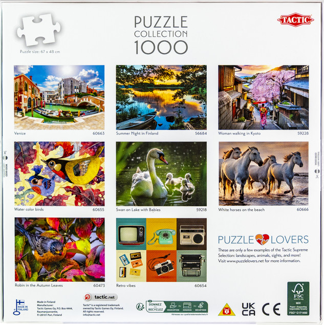 Puzzle Tactic 1000 elementów: Kwitnąca Aleja Wisterii (Wisteria Alley in blossom)