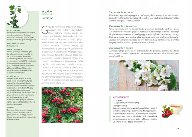 ZIOŁA POLSKIE Wykorzystanie Lecznicze Kosmetyczne Kulinarne Domowe SBM