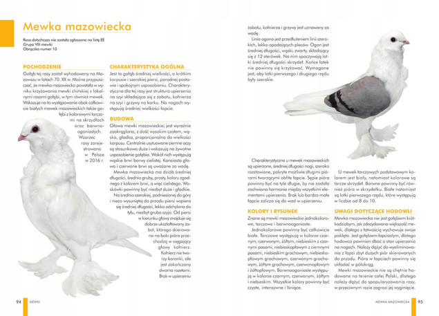 Atlas GOŁĘBI Polskie Rasy Opis 63 Gołębi Manfred Uglorz SBM