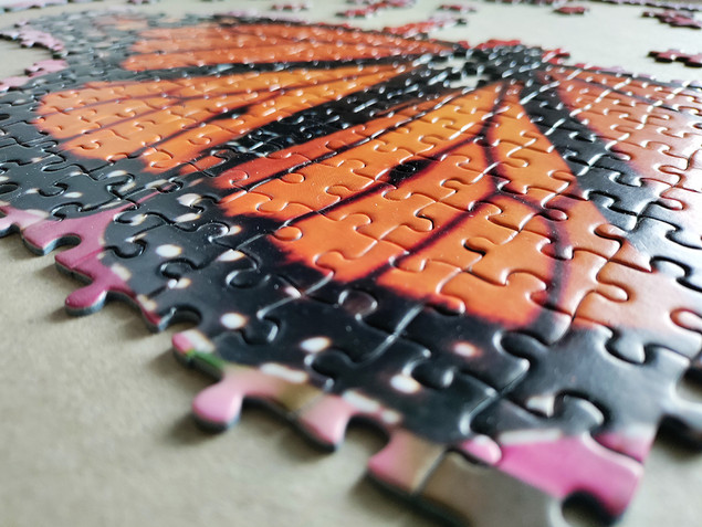 Puzzle Tactic 1000 el. Monarch Butterfly - Motyl Monarcha, Fińska Jakość