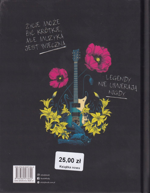 Kurt Cobain Biografia David Aceituno, David Buisan