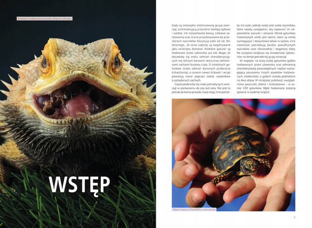 Atlas GADÓW Hodowlanych 100 Gatunków Jaszczurki Żółwie Krokodylowe SBM