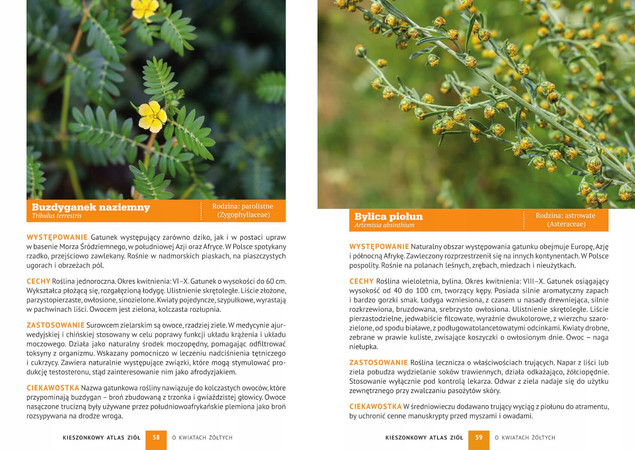 Kieszonkowy Atlas ZIÓŁ Aleksandra Halarewicz SBM