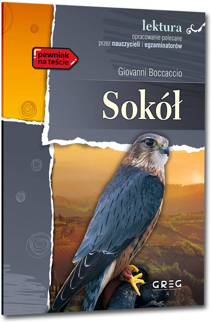 Sokół Giovanni Boccaccio lektury z opracowaniem