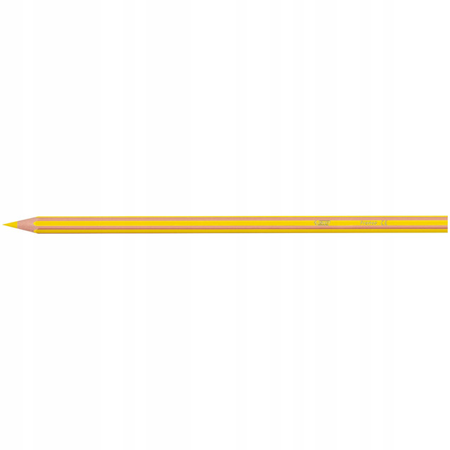 Kredki szkolne niełamliwe 24 kolory BIC Evolution