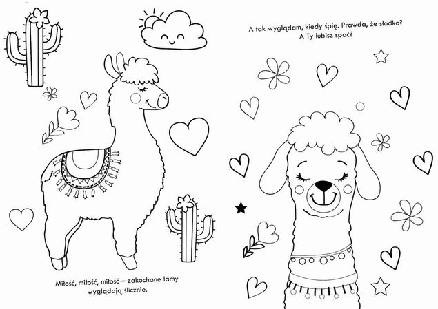 Books and Fun Kolorowanka z naklejkami - Lamorożce i Lamy