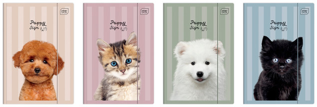 Teczka Z Gumką A4+ Lux UV Puppy Sign Interdruk Zwierzęta