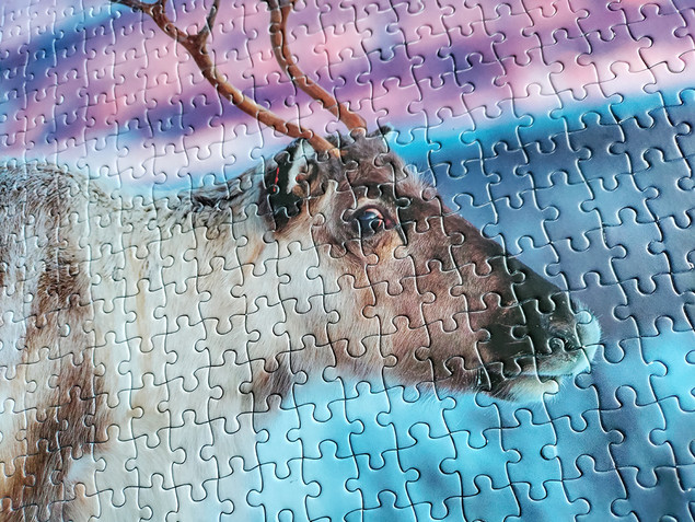 Puzzle Tactic Renifer 1000 elementów - Fińska Jakość