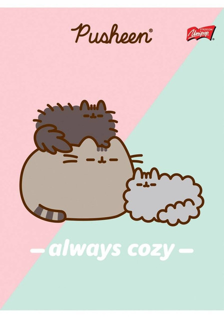 Zeszyt A5 w trzy linię 32 kartki UNIPAP Pusheen