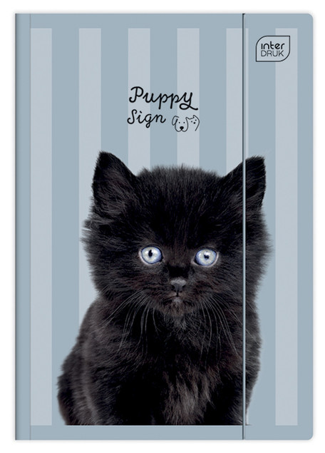 Teczka Z Gumką A4+ Lux UV Puppy Sign Interdruk Zwierzęta
