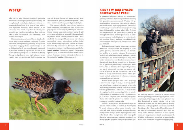 Atlas Ptaków 250 Gatunków Żyjących w Polsce Jan Król SBM