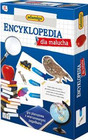Gra Planszowa Adamigo Encyklopedia dla Malucha Quiz Edukacyjna 5+