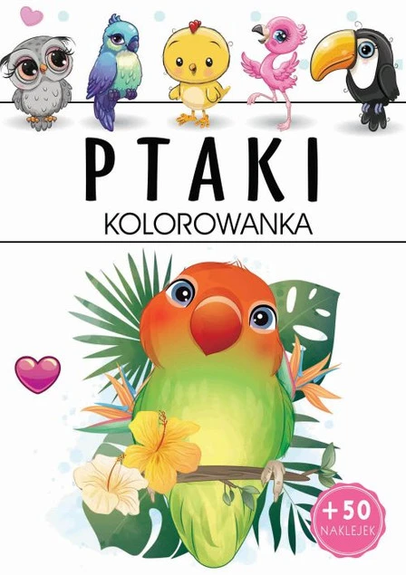 Kolorowanka z naklejkami ptaki Praca zbiorowa
