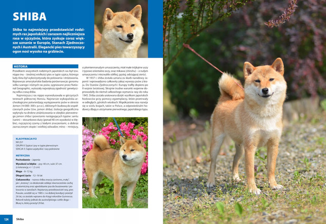 PSY RASOWE Album Informacje Zwyczaje Potrzeby Wymagania I. Przeczek SBM