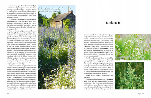 Dziki Ogród Łukasz Łuczaj Nasza Księgarnia