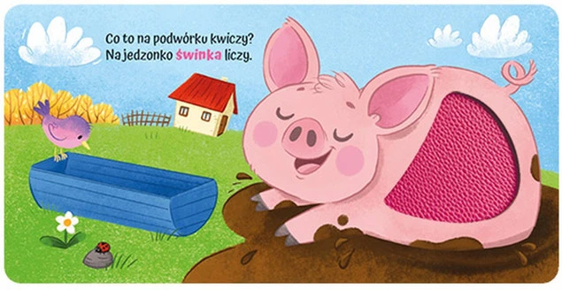 Książeczka z wkładkami sensorycznymi