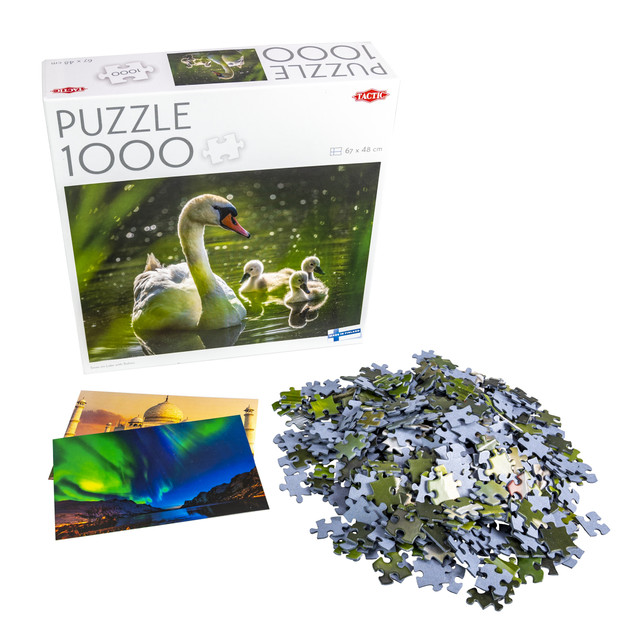 Puzzle 1000 TACTIC Lovers: Łabędź na Jeziorze z Dziećmi