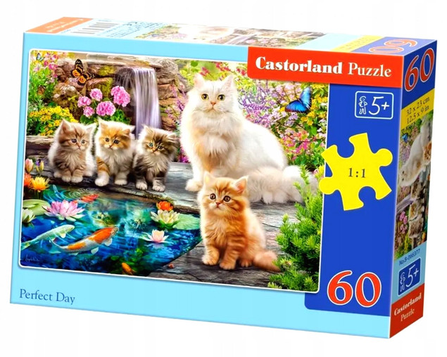 Castorland Puzzle "Perfect Day" 60 elementów Dla Dzieci