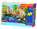 Puzzle Castorland Koi Pond 120 elementów