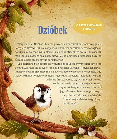 Zestaw Bajki Na Dobranoc, Mądre Bajki Wydanie Specjalne Prezent Dla Dziecka