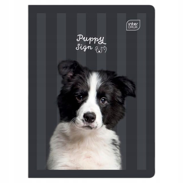 Zestaw 4 zeszytów A5 w 3 linię 32 kartki Puppy – Interdruk